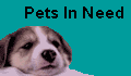 Help pets in need. Click for Care2.com's Race for Pets