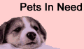 Help pets in need. Click for Care2.com's Race for Pets