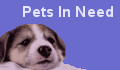 Join Care2.com's Race for Pets
