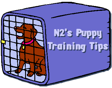 Crate Training is a practical and valuable method to use.