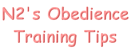N2's Obedience Training Tips