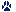 paw