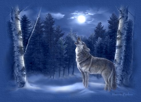 wolf howling at the moon