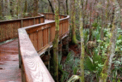 Havelock Visitor Center Nature Walk View 2 - Double Click for the Full-Size JPEG version...