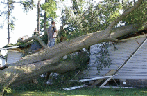 Another example of major damage to a house that a tree fell onto.&nbsp; Double Click to get the full size picture...