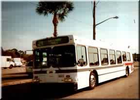 My Buss