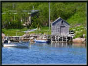 burgeo11.jpg (36637 bytes)