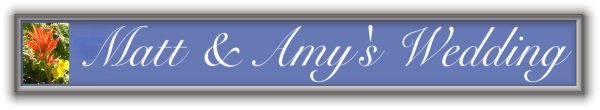 Matt & Amy's Wedding