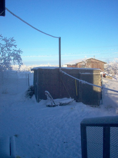 Old Shed 1