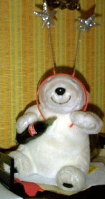Cokie Bear