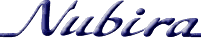 DaewooUS