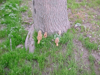 Can you see me?