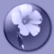 Flower 2