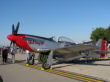 Red Dog XII