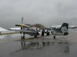 Geraldine in the rain