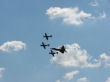 Mustangs and Raptor