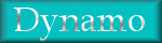 Dynamo Hockey team