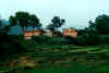 some houses in duwakot