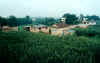 view from roof of the house