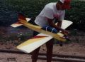 falcon low wing