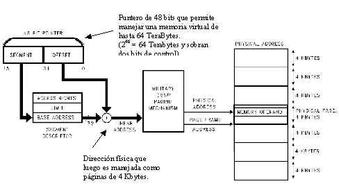 wpe18.jpg (18397 bytes)