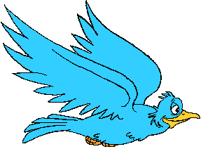 pajaro