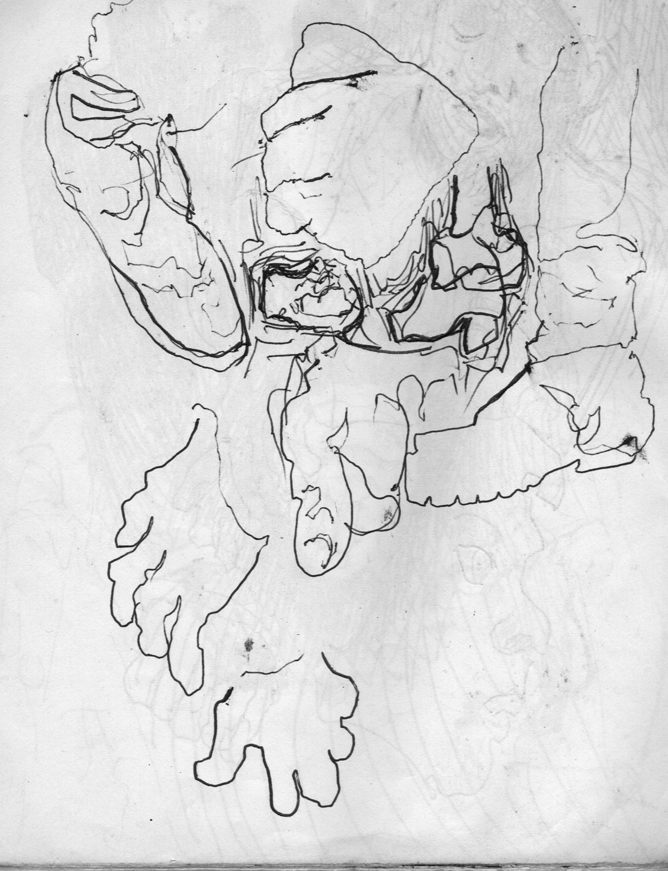 Pies_foot_