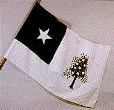 Magnolia flag