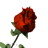 Gif file