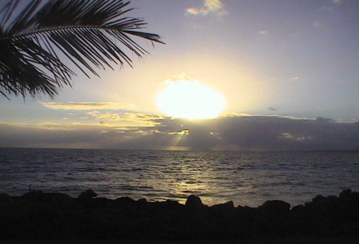 Kona, Island of Hawaii