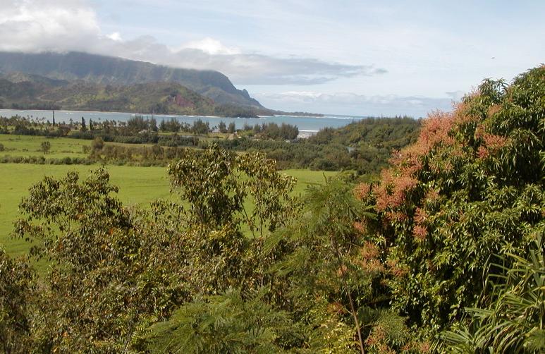 Viewpoint Hanaley Bay