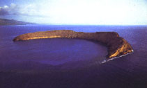 Molokini