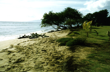 Papalua Beach