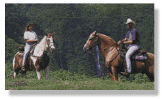 Out Horseback Riding