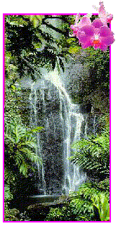 Waterfall on Maui