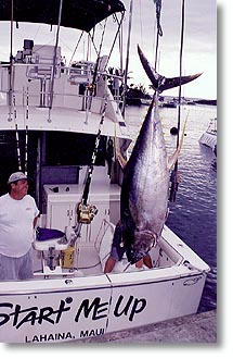 Tuna