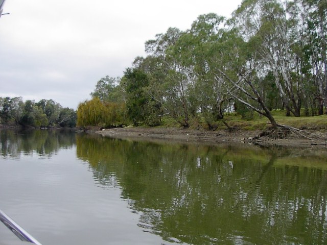 Photos