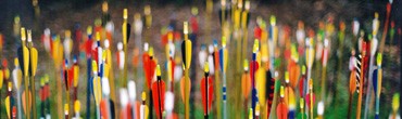 Field of Arrows