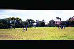 Latham Park Panorama