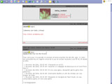 2004-2005. Live Journal