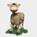 cowmooing