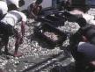 Fish Sales