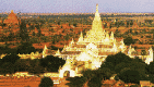 ananda3.gif (37446 bytes)