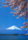 jp8.jpg (63840 bytes)