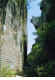 yakushirurikounyorai4.jpg (85553 bytes)