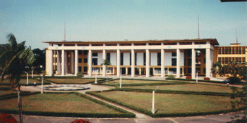 What courses you can Learn?