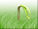 right arrow