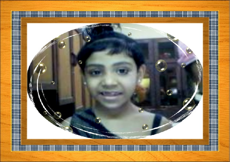 sarod amina beegum -minu