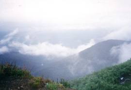 view of ophir