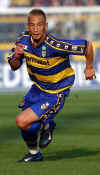 hide-parma.jpg (30975 bytes)